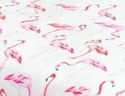 Flamingos rot-pink